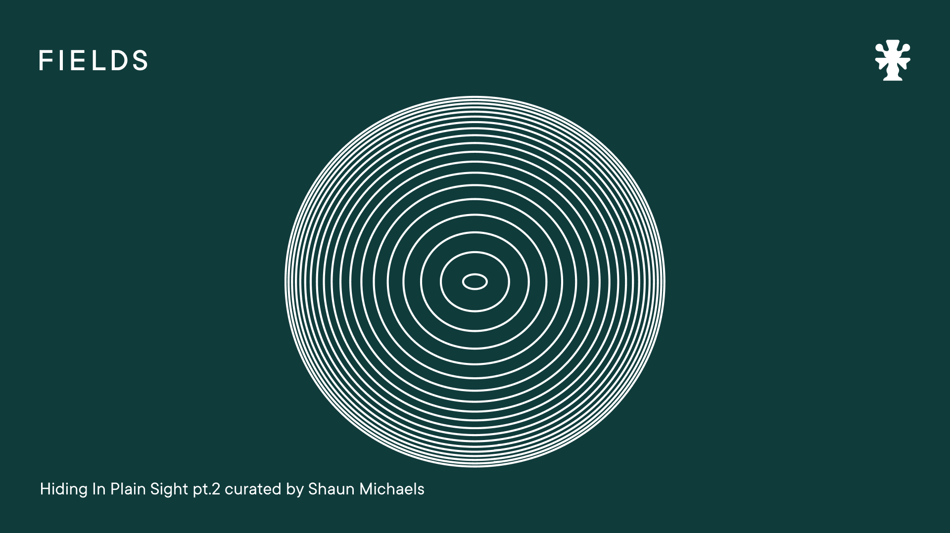 Hiding In Plain Sight pt.2 c/b Shaun Michaels