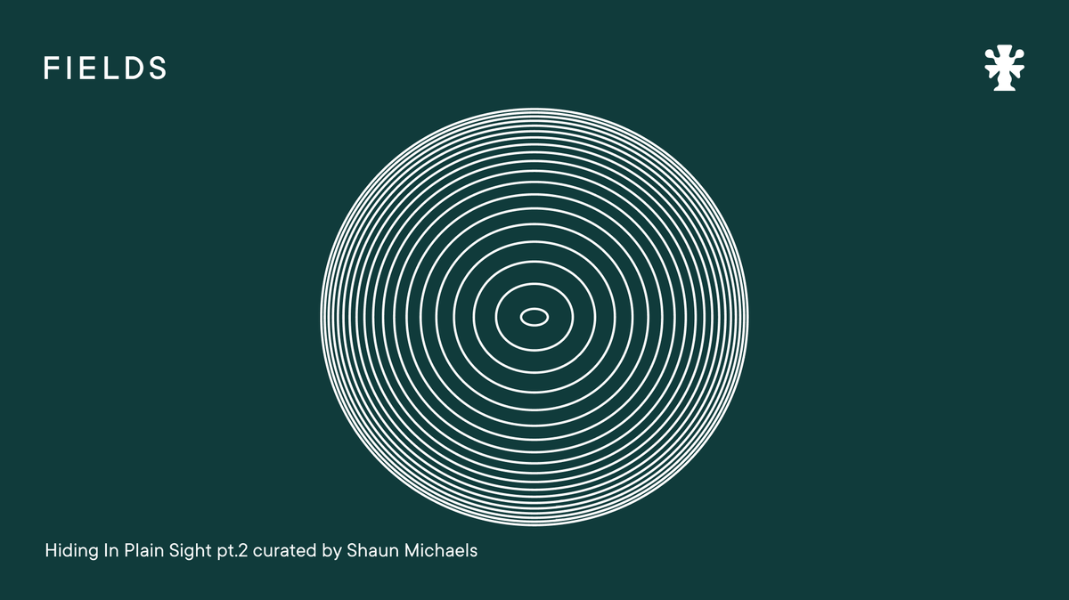 Hiding In Plain Sight pt.2 c/b Shaun Michaels