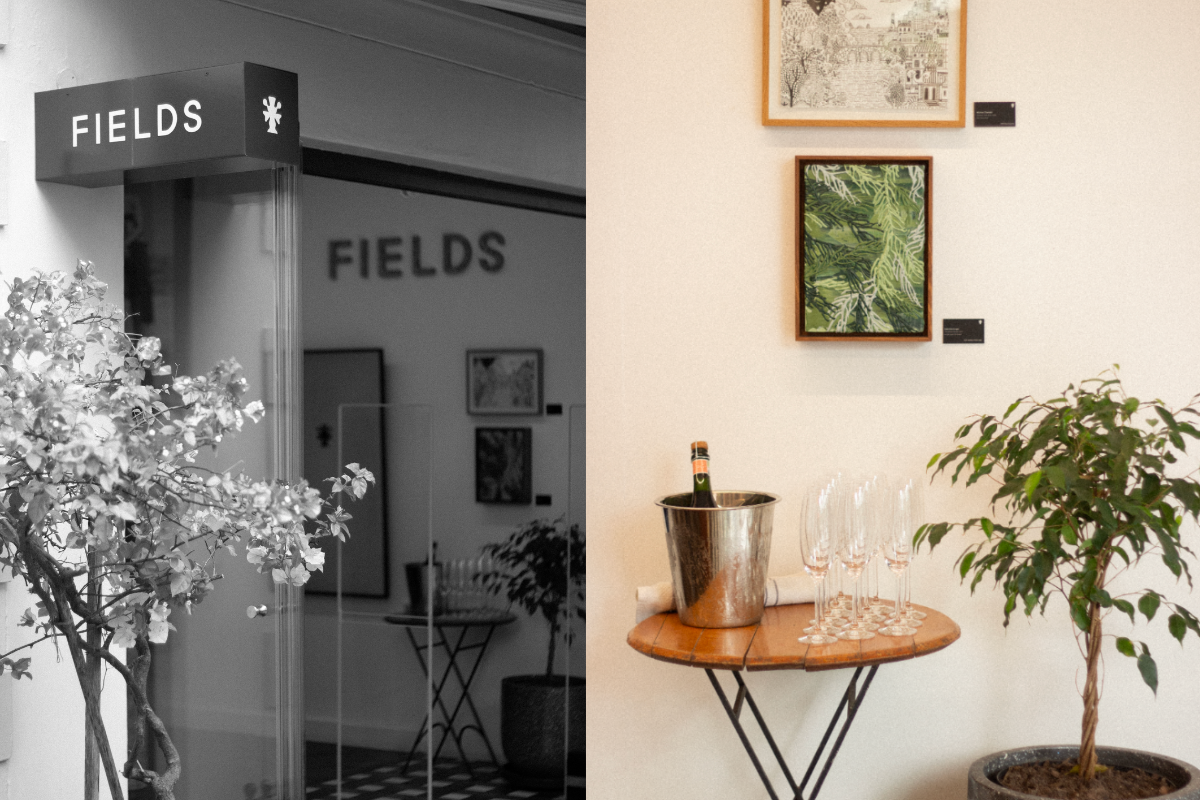 AN AFTERNOON AT FIELDS STELLENBOSCH