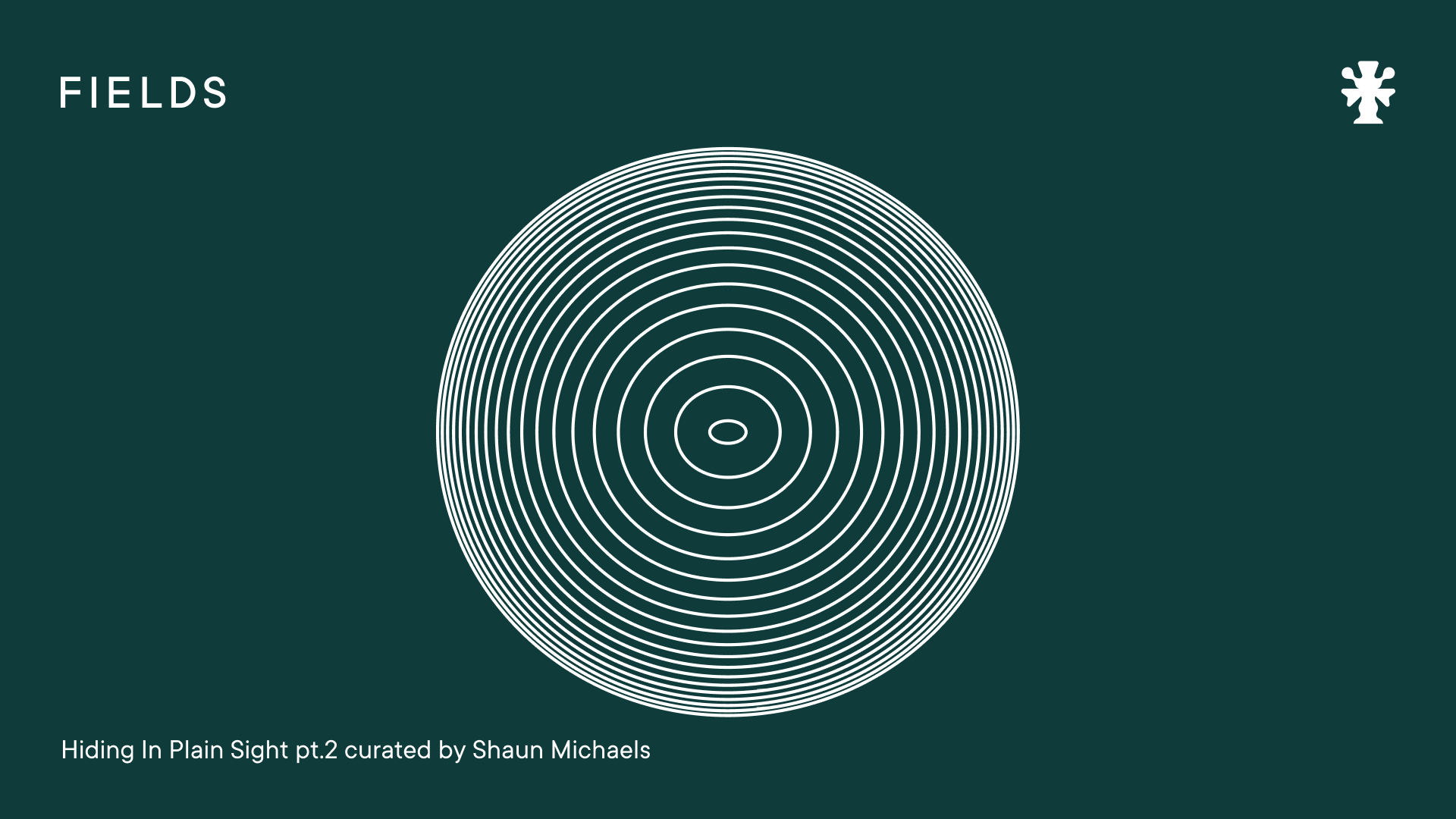 Hiding In Plain Sight pt.2 c/b Shaun Michaels