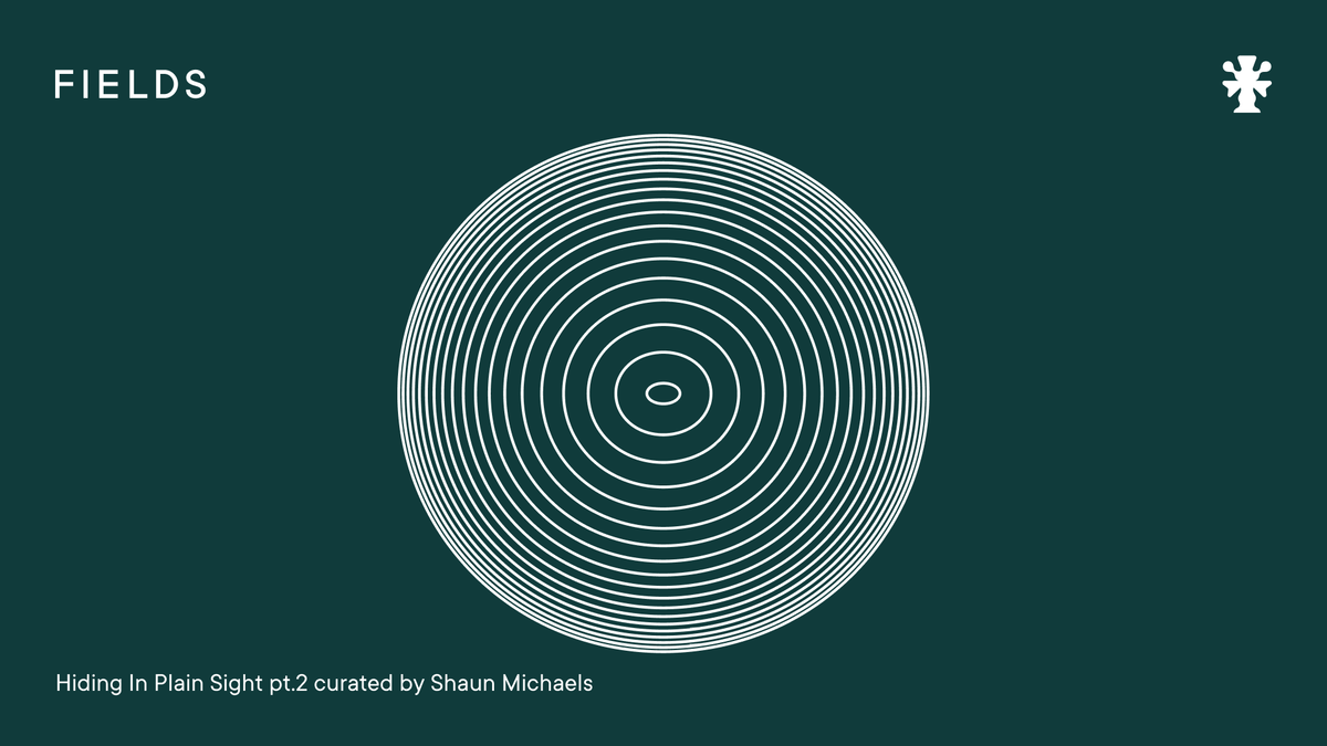 Hiding In Plain Sight pt.2 c/b Shaun Michaels