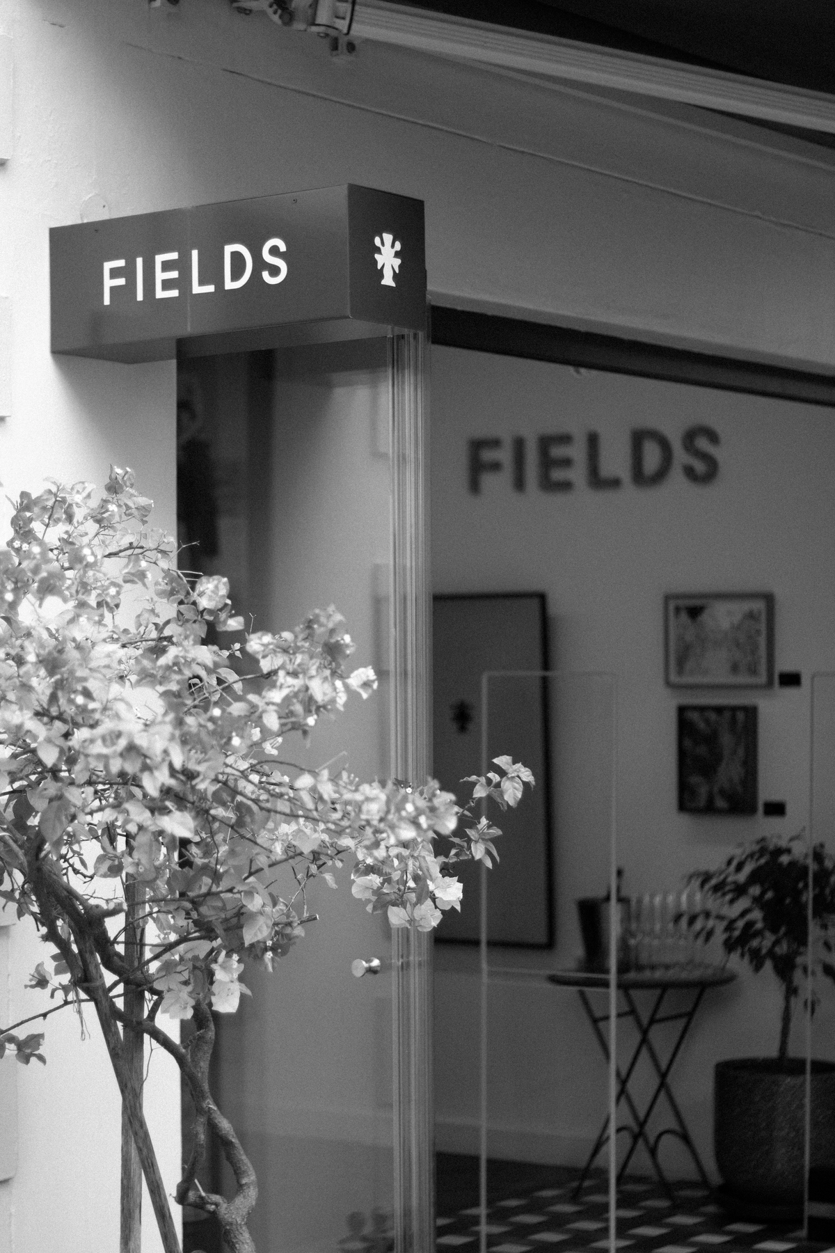 Fields Stellenbosch Retail Store