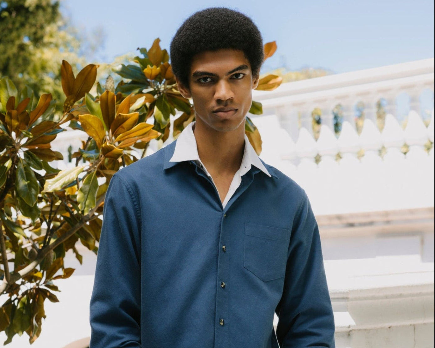 A man wearing a blue long-sleeve button-up shirt and beige trousers, standing outdoors in front of a white building and green foliage.