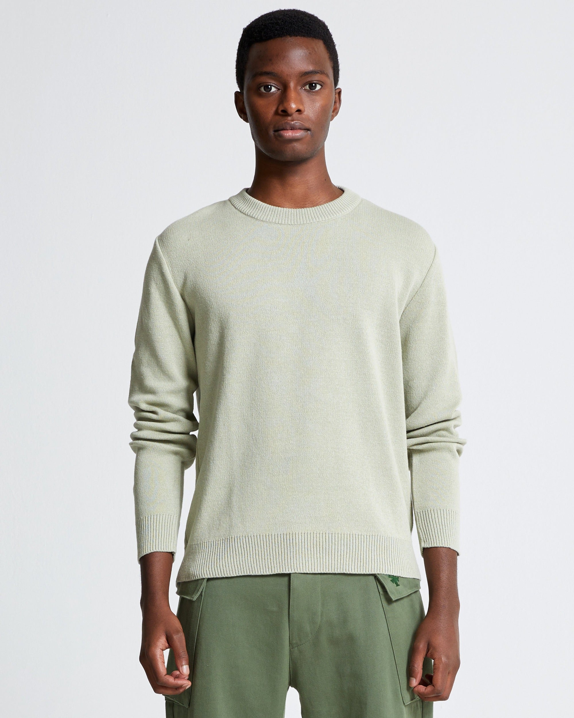 Round Neck Sweater in Cotton shade Pistachio